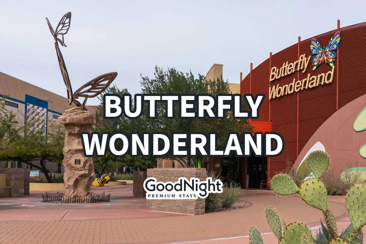 The exterior entrance to Butterfly Wonderland is showcased, with a whimsical butterfly sculpture, clear signage, and desert landscaping featuring cacti. It sets a playful, educational, and family-friendly tone, suggesting a destination ideal for children and parents alike.
