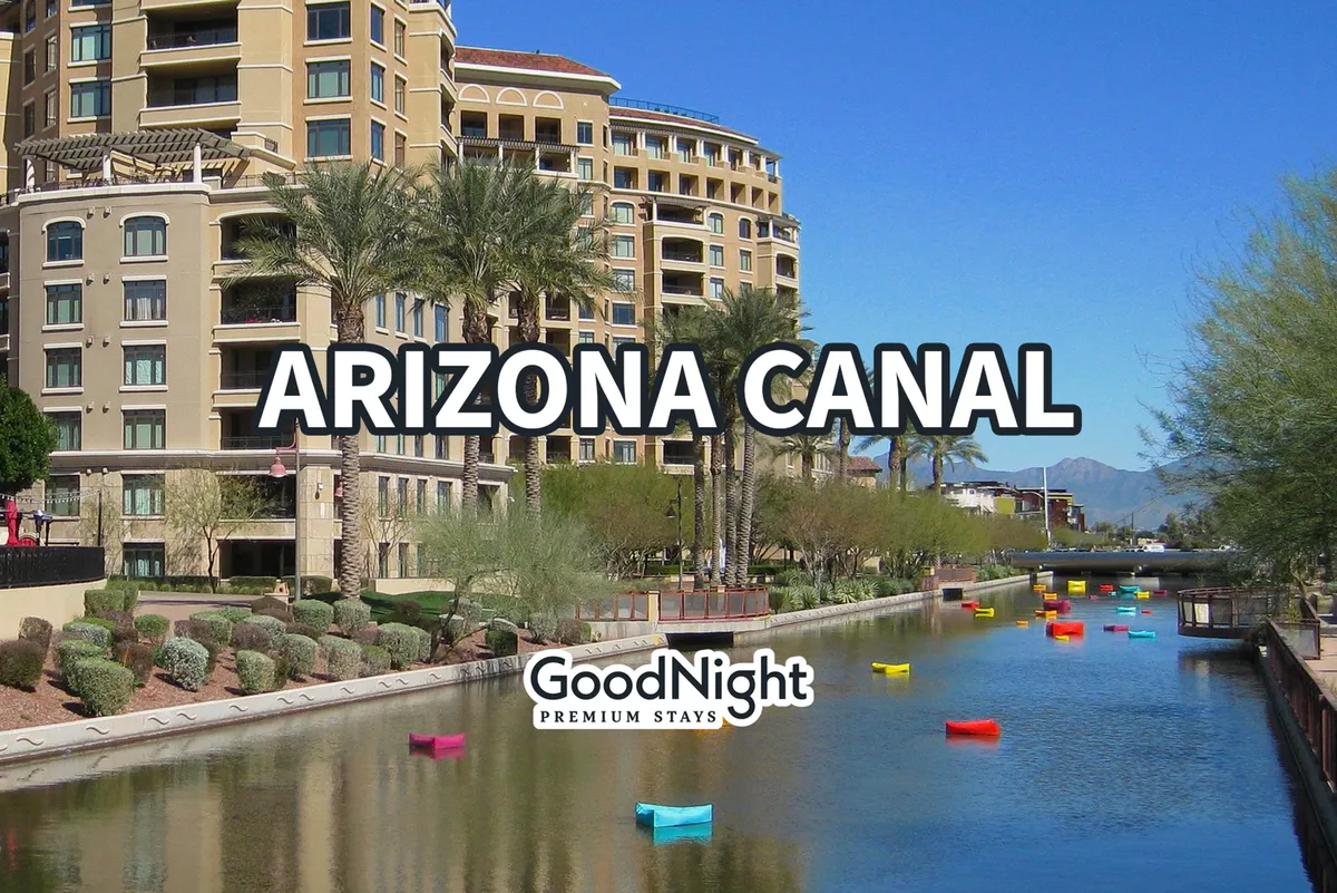 A lively view of the Arizona Canal with colorful boats on the water, modern buildings, and palm trees lining the banks, showcasing the vibrant outdoor spaces available for biking and walking.