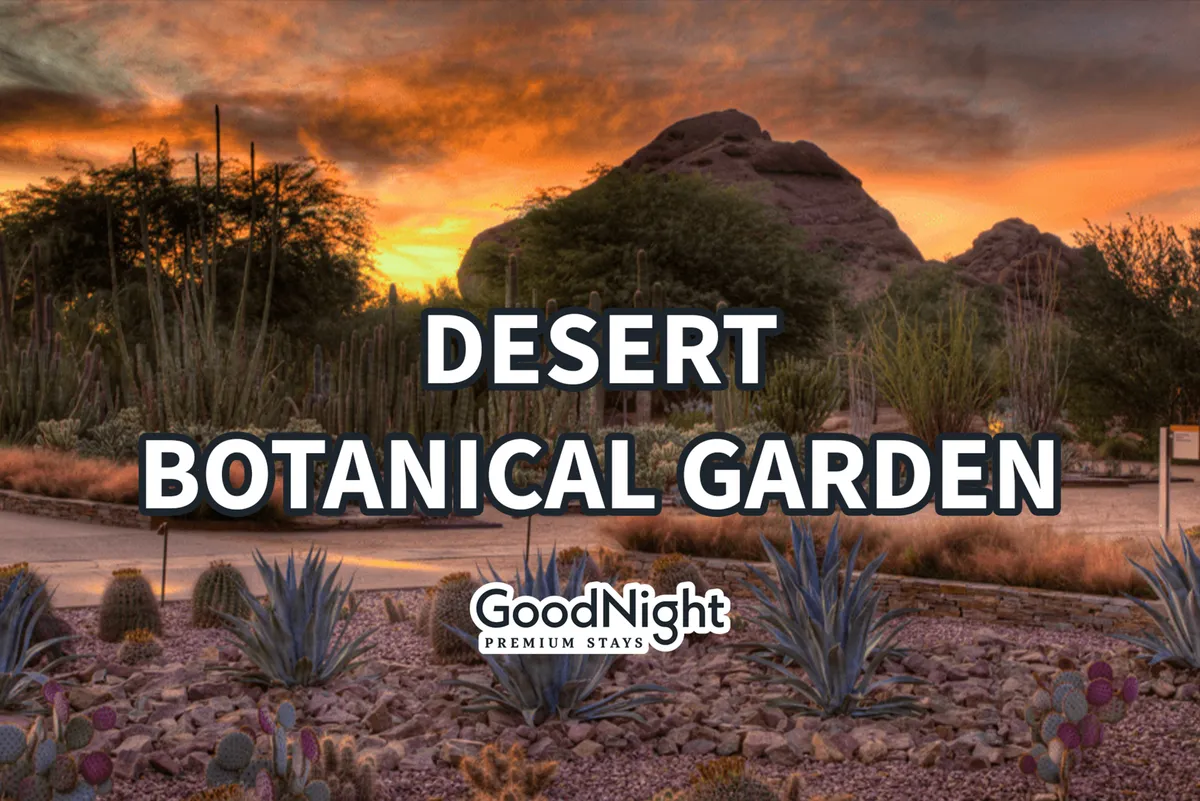 A stunning landscape of desert plants and rock formations with a colorful sunset sky, embodying the serene beauty of the Sonoran Desert and the inviting outdoor environments near Scottsdale.